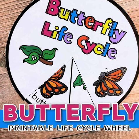 This free printable butterfly life cycle wheel is a useful tool for reviewing the stages of a butterfly's growth. Butterfly Life Cycle Preschool, Life Cycles Preschool, Butterfly Life Cycle Activity, Life Cycle Of A Butterfly, Stages Of A Butterfly, Butterfly Puzzle, Science Printables, Butterflies Activities, Printable Butterfly