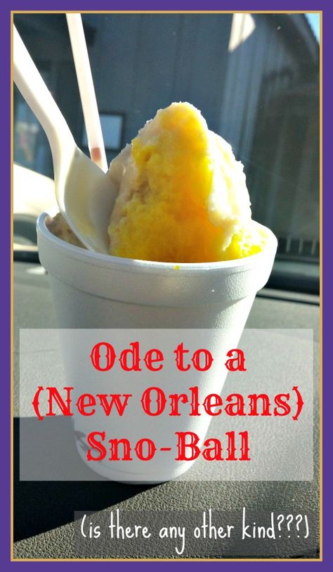 Ode to a New Orleans Sno-Ball Sno Ball Recipe, New Orleans Snowball, Nola Trip, Snow Cone Stand, Snowballs Recipe, Snow Cone Syrup, Summer Flavors, New Orleans Recipes, Sno Cones