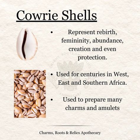 Cowrie shells are quite popular in African cultures as they were one of the earliest forms of currency used by traders up until the 20th century. The Ghanaian currency, Cedi, is named after the cowrie. These timeless and history rich elements have been used by diviners to tap into the ancient knowledge of the ancestors and the Orishas. They are also added to Gris Gris bags to help attract prosperity, wealth and fertility. Note that the divination system shown here is Obi divination and it's... Cowrie Shell Spiritual Meaning, Cowrie Shell Divination, Cowrie Shell Meaning, Cowrie Shell Tattoo, Hearth Witch, Witchy Spells, Folk Magic, Bone Crafts, Spiritual Cleansing