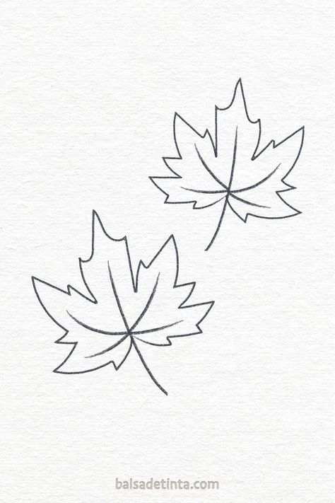 Dos hojas de arce dibujadas a mano. Cool Things To Draw, Summer Drawings, Fall Drawings, Fall Fruits, Walking In The Rain, Easy Doodles, Small Drawings, What To Draw, Fallen Leaves