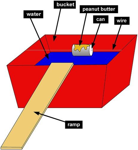 How to Get Rid of Rats Get Rid Of Rats, Getting Rid Of Rats, Mice Repellent, Getting Rid Of Mice, Rat Traps, Diy Pest Control, Rodent Control, Types Of Insects, Flea Prevention