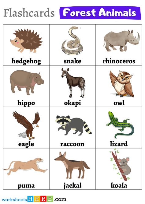 +45 Forest Animals Names with Pictures Flashcards PDF Worksheets For Students - WorksheetsHere.com Animals Name With Picture, Animals Name In English, Farm Animal Crafts, Howler Monkey, Animal Flashcards, Arctic Wolf, Parrot Bird, Animal Species, Grizzly Bear