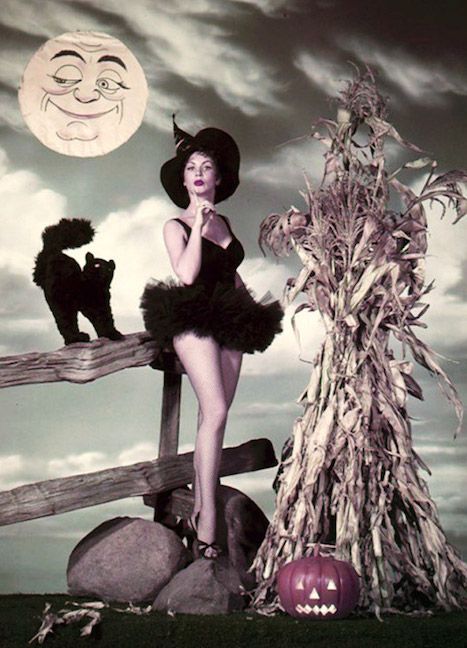 Vintage Halloween Pinups – Check out these vintage Halloween pin-ups featuring Hollywood starlets with spooky shadows, glowing jack-o-lanterns and peeping scarecrows! Vintage Pin Ups, Halloween Pin Up, Witch Photos, Vintage Halloween Photos, Photo Halloween, Personaje Fantasy, Weird Vintage, Vintage Halloween Costume, Halloween Pins