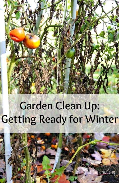 Fall clean up is a critical time for your garden - don't skip it! Fall Clean Up, Winter Gardening, Annual Garden, Diy Gardening, Home Vegetable Garden, Garden Elements, Hydroponic Gardening, Seasonal Garden, Autumn Garden