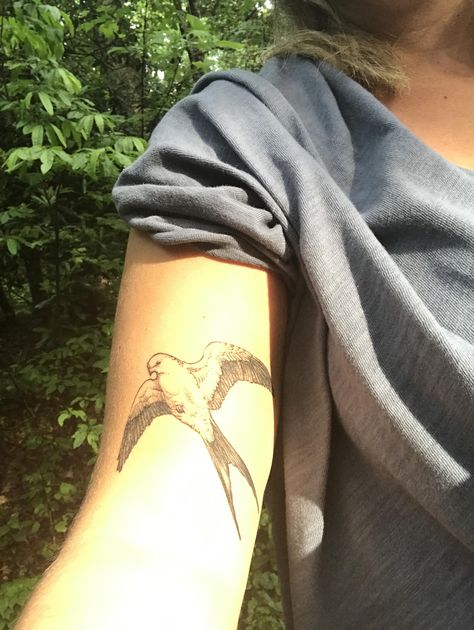 My new Swallow Tailed Kite by Kitty at Sacred Lotus in Asheville! Kite Bird Tattoo, Swallow Tailed Kite Tattoo, Swallowtail Bird Tattoo, Swallow Tail Kite Tattoo, Swallow Tailed Kite, Swallow Holding Flower Tattoo, Kite Tattoo, Oregon Tattoo, Bird Kite