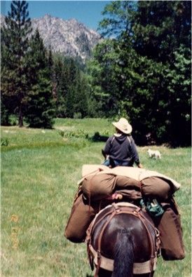 Horse Packing Equipment, Traveling With Horses, Horse Travel, Horse Packing, Horseback Camping, Camping With Horses, Horse Camping, Horse Backpack, Trail Riding Horses