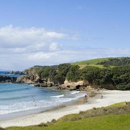 Tawharanui Beach Whanganui New Zealand, Tawharanui New Zealand, Best Beaches In New Zealand, Hot Water Beach New Zealand, New Zealand Hangi, Wharariki Beach New Zealand, New Zealand Beach, Many Many, Best Beaches