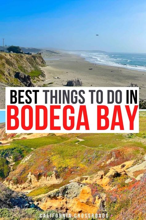 15 Beautiful Things to Do in Bodega Bay, CA - California Crossroads Bodega Bay California, California Coast Road Trip, Napa Valley Trip, Sonoma Coast, Beautiful California, Bodega Bay, Nevada Travel, Highway 1, Us Travel Destinations