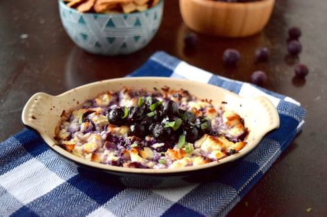 ​Baked Feta with a Wild Blueberry Compote - Eva Haldis Nutrition Blueberry Desserts Recipes, Blueberry Cobbler Recipes, Blueberry Cheesecake Recipe, Recipe Photo, Baked Feta, Blueberry Compote, Blueberry Desserts, Food Contest, Blue Berry