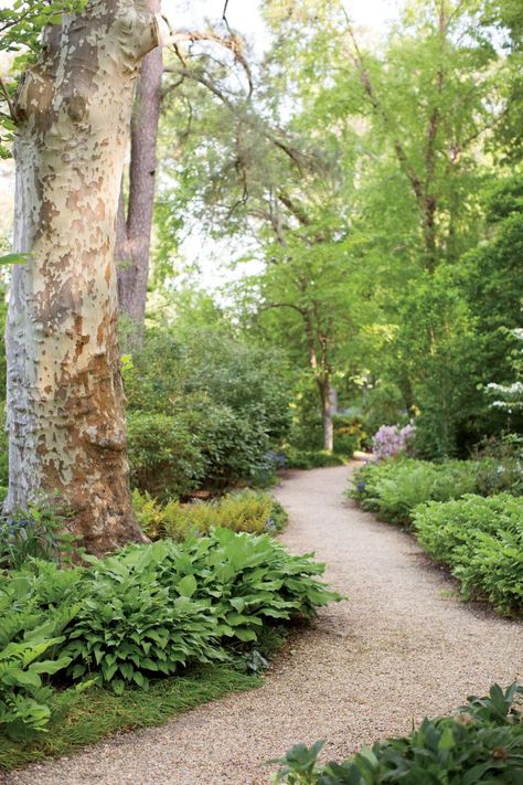 Inside a Chesapeake Bay Garden – Garden & Gun Cabin Landscaping, Garden Forest, Shade Garden Design, Shade Garden Plants, Woodland Plants, Estate Garden, Garden Walkway, Landscape Photography Tips, Forest Path