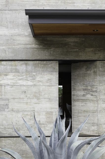 Concrete facade - Agave americana Board Formed Concrete, Backyard Canopy, Concrete Facade, Concrete Architecture, Garden Canopy, Contemporary Exterior, Exposed Concrete, Concrete Design, Facade Architecture