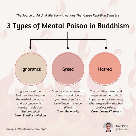 Buddhist Witch, Buddha Beliefs, Buddhist Psychology, Buddhism Aesthetic, Buddhism Philosophy, Buddhism For Beginners, Buddhism Beliefs, Buddhist Rituals, Japanese Buddhism