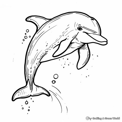 Dolphin Outline Drawing, Disney Character Outlines, Disney Characters Outline, Dolphin Images, Blank Coloring Pages, Dolphins Tattoo, Animal Outline, Kindergarten Coloring Pages, Cute Easy Doodles