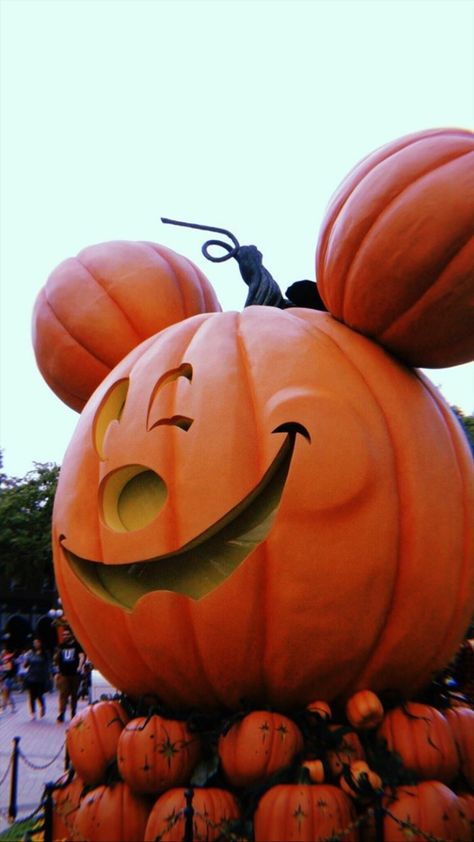 Mickey Halloween Wallpaper, Disneyland Wallpaper, Orange California, Wallpaper Photography, Mickey Halloween, Photography Instagram, Disney Halloween, Halloween Wallpaper, Disney Wallpaper