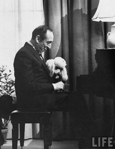 Portrait of Vladimir Horowitz with poodle following return to New York concert stage after 12 years. (Photo by Gjon Mili, 1965 - LIFE archive) Vladimir Horowitz, Gjon Mili, Classical Piano Music, Classical Music Composers, Christmas Card Illustration, Dog Day Afternoon, Edith Wharton, Classical Musicians, Cafe Society