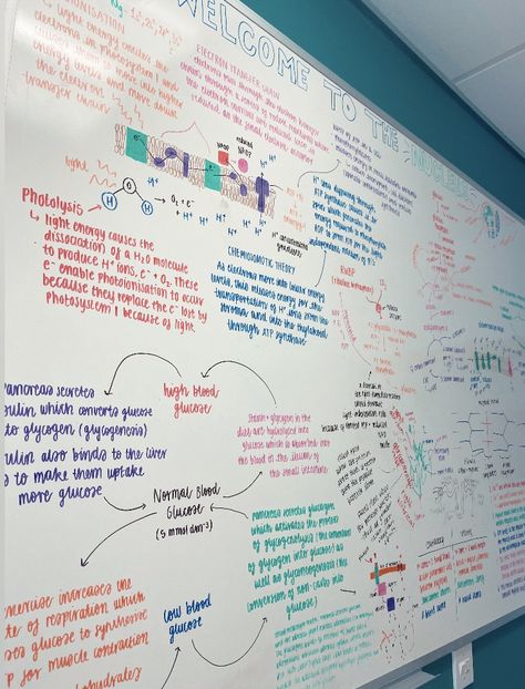 Writing On Whiteboard, Whiteboard Studying Aesthetic, Whiteboard Studying, Whiteboard Method, Daily Whiteboard Messages, Whiteboard Method Studying, White Board, Handwriting, Education