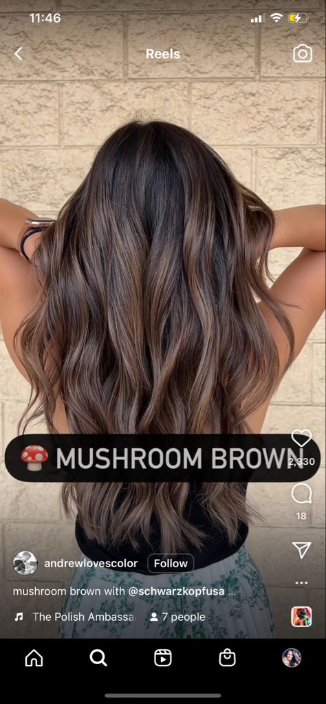 Pretty Brown Hair Colors Fall, Brunette Balayage Hair Hazel Eyes, Balayage Dark Brown Hair Straight, All Brunette Hair Color, Medium Length Winter Hair Color, Low Maintenance Dark Balayage, Celebrity Balayage Hair, Brunette Partial Highlights Caramel, Fair Skin Balayage Brunettes