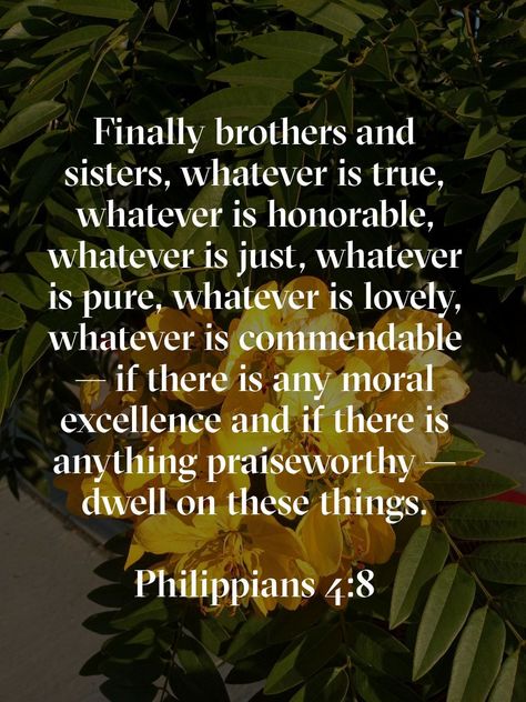 Praying For Your Husband, Whatever Is True, Daily Bible Reading, Hope For The Future, Speak Life, Biblical Verses, Finding God, Brothers And Sisters, Philippians 4