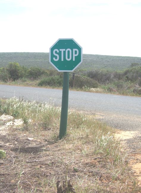 Green stop sign to blend in with nature ~ South Africa. Green Stop Sign, Stop Sign, Beach Signs, Nature Lovers, Nature Lover, Highway Signs, Blending, South Africa, Different Colors