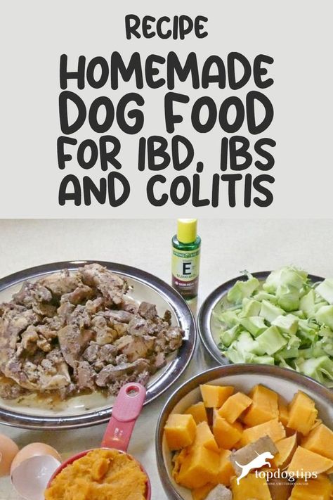 IBD & IBS Homemade Dog Food Recipe Ibd Diet, Holistic Dog Food, Dog Food Recipe, Ibs Recipes, Digestive Problems, Dog Food Brands, Digestive Issues, Dog Diet, Healthy Dog Food Recipes