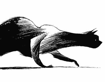 Varjak Paw by S.F. Said Dave Mckean, Cat Anatomy, Cat Illustrations, Black Cat Art, Cats In Art, Cat Artwork, Cats Illustration, Cats Art, Art Ink