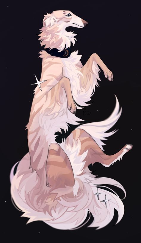 Strange Animals Drawing, Borzoi Anatomy, Poodle Character Design, Borzoi Dog Art, Borzoi Wallpaper, Dog Oc Human, Borzoi Illustration, Dog Pose Reference, Dog Poses Reference