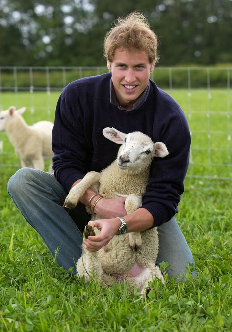 Prince William Highgrove Farm Prince William Et Kate, Prins William, Old Prince, Rainha Elizabeth Ii, English Royal Family, Photos Of Prince, Principe William, Prince William And Harry, Prince William And Catherine