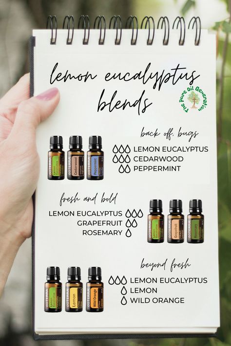 Lemon Eucalyptus Diffuser Blends, Doterra Lemon Eucalyptus, Eucalyptus Blends, Doterra Grapefruit, Doterra Wild Orange, Doterra Lemon, Doterra Diffuser, Essential Oil Combinations, Essential Oil Safety