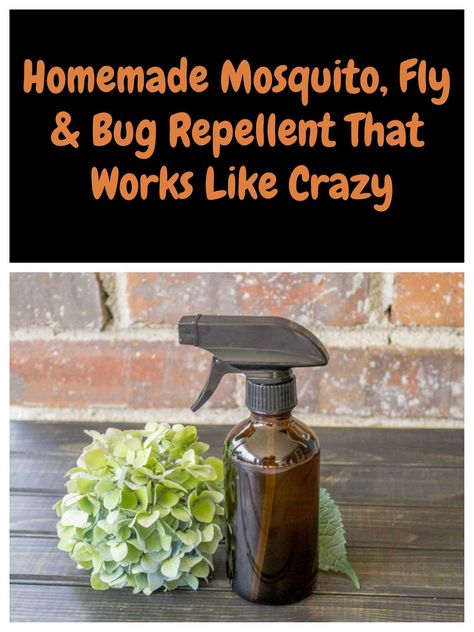 This natural herbal spray will repel mosquitoes, flies and other annoying bugs and stop you getting bitten this summer. Homemade Mosquito Spray For Skin, Outside Mosquito Repellent, Diy Natural Bug Repellent, Non Toxic Mosquito Repellent, Fly And Mosquito Repellant, Best Mosquito Repellent For Skin, Natural Mosquito Repellant For Skin, Homemade Mosquito Repellent For Skin, Diy Mosquito Repellent For Skin