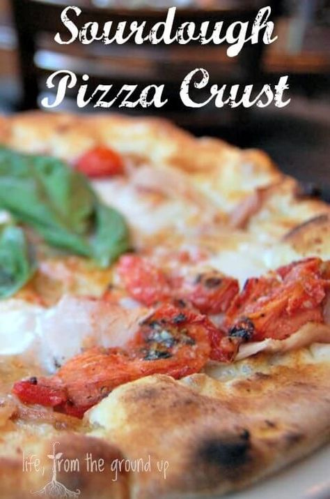 Easy and healthy sourdough pizza crust - better for gluten-sensitive diets! Easy Sourdough Pizza Crust, Gluten Sensitivity Diet, Sourdough Pizza Crust Recipe, Easy Pizza Crust, Sourdough Pizza Crust, Pizza Bianca, Easy Sourdough, Sourdough Pizza, Sourdough Starter Recipe