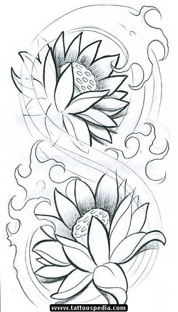 water lily Drawings for Tattoos | Water Lily Outline http://tattoospedia.com/flower-tattoos-220/ Lily Outline, Lily Drawings, Water Lily Drawing, Tattoos Water, Wave Tattoo Design, Lotus Flower Tattoo Design, Lilies Drawing, Japanese Flower Tattoo, Lotus Flower Design