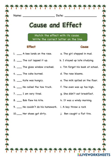 Cause And Effect Worksheet Grade 1, Cause And Effect Worksheet 3rd Grade, Cause And Effect Worksheet, Aba Training, Cause And Effect Worksheets, Cause And Effect Activities, Adverbs Worksheet, Verbal Reasoning, Life Skills Class