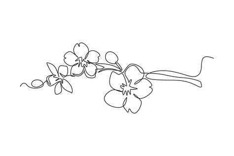 Single one line drawing Cherry tree spring flower. Cherry blossom concept. Continuous line draw design graphic vector illustration. 19510795 Vector Art at Vecteezy Cherry Blossom Line Art Tattoo, Cherry Blossom Line Tattoo, Cherry Blossom Fine Line Tattoo, Cherry Blossom Line Drawing, Lilac Line Art, Cherry Blossom Tattoo Minimalist, Cherry Blossom Line Art, Blossom Line Art, Cherry Tree Tattoo