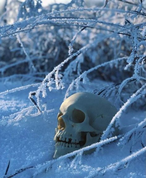 Creepy Snow Aesthetic, Winter Horror, Ice Aesthetic, Dark Pics, Christmas Horror, Snow Forest, Creepy Horror, Winter's Tale, Snowy Forest