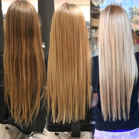 Process of going platinum blonde in sessions                                                                                                                                                                                 More Platinum Blonde Before And After, Stages Of Going Blonde, Going Blonde From Brunette Stages, Best Blonde Hair Color, Going Platinum Blonde, Dark To Light Hair, Best Blonde Hair, Textured Lob, Color Correction Hair