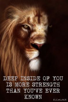 Inner Strength Quotes Warriors, Underestimate Quotes, Lioness Quotes, Impact Quotes, Inner Strength Quotes, Angry Lion, I Am Quotes, The Lion Sleeps Tonight, Lion Quotes