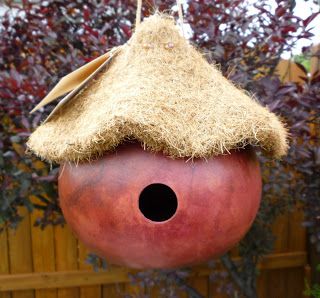 fall gourd crafts | Gourds Galore and More: Thatched Roof Gourd Birdhouse Diy Birdhouse Ideas, Diy Birdhouse, Birdhouse Ideas, Fall Gourds, Bird House Feeder, Bird House Plans, Gourds Birdhouse, Decorative Gourds, Bird House Kits