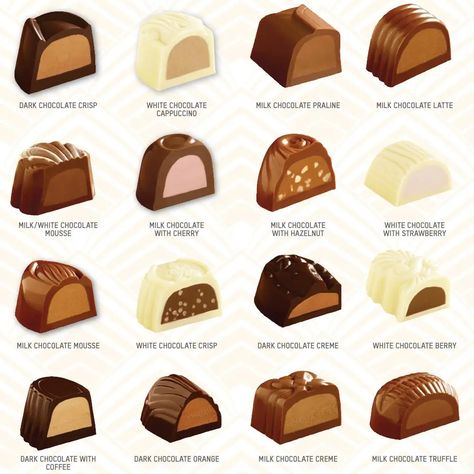 Chocolate Bonbons Recipe, Chocolate Names, Bon Bons Recipe, Praline Chocolate, Belgium Chocolate, Chocolate Candy Recipes, Chocolate Labels, Big Chocolate, Artisan Chocolate