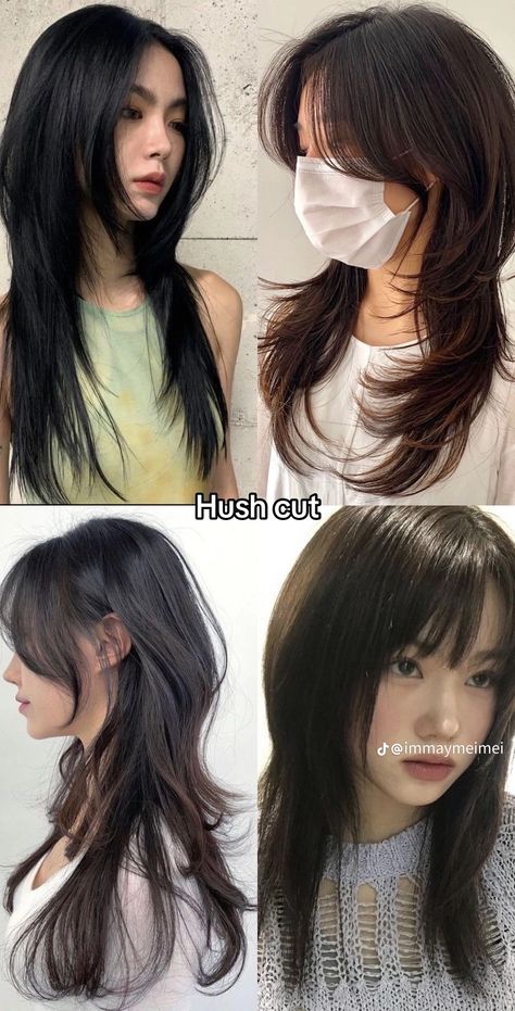 Hush Haircut Tutorial, Wide Jaw Haircut Women, Falco Haircut, Fleco Haircut, Disconnected Layers Long Hair, Wolf Cut Long Vs Butterfly Cut, Layers For Long Hair With Bangs, Hair Styles Names, Hush Cut With Bangs