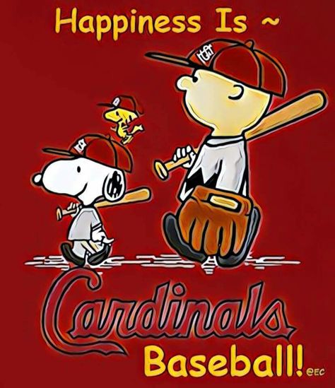 Cardinals Wallpaper, Stl Cardinals Baseball, Cartoon Sports, Saint Louis Cardinals, Cardinals Players, Baseball Ticket, Baseball Pitching, Fantasy Baseball, St Louis Cardinals Baseball