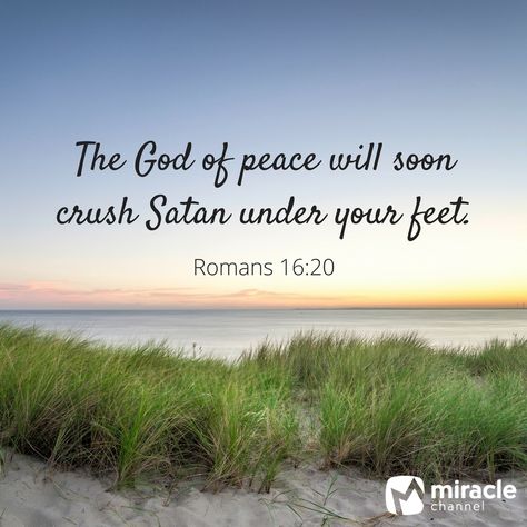 Romans 16:20 #Scripture #Bible #God #Peace Romans 16 20, God Peace, Prayer For Church, Hope Inspiration, Grow In Grace, Beautiful Scripture, Gods Girl, Gods Word, Gospel Of Jesus Christ