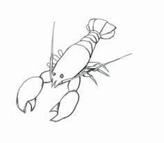 Lobster Drawing, Logo Reference, Drawing Pictures, Easy Drawing Tutorial, Paper Pencil, Baby Drawing, Drawing Tutorial Easy, Doodle Illustration, Figure Drawing Reference