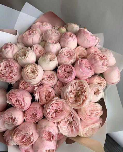 𝓜. on Twitter: "FLOWERS ARE MY WEAKNESS.… " Boquette Flowers, Nothing But Flowers, Peonies Bouquet, Flower Therapy, No Rain, Beautiful Bouquet Of Flowers, Luxury Flowers, Gardening Supplies, Love Flowers