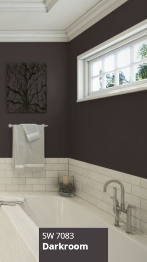 Bathroom with Darkroom Sherwin-Williams Paint Color SW-7083. Dark Purple Sherwin Williams, Darkroom Paint Color, Darkroom Sherwin Williams, Sherwin Williams Purple Paint Colors, Purple Wall Color, Dark Purple Wall, Purple Paint Color, Dark Brown Bedrooms, Energy Colors