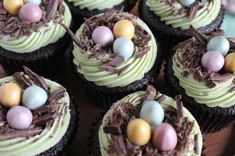 Birds Nest Cupcakes Bird Nest Cupcakes, Bird Cupcakes, Nest Cupcakes, Easter Cooking, Healthy Muffin, Butter Cream Cheese Frosting, American Birds, Candy Egg, Cupcake Recipes Chocolate