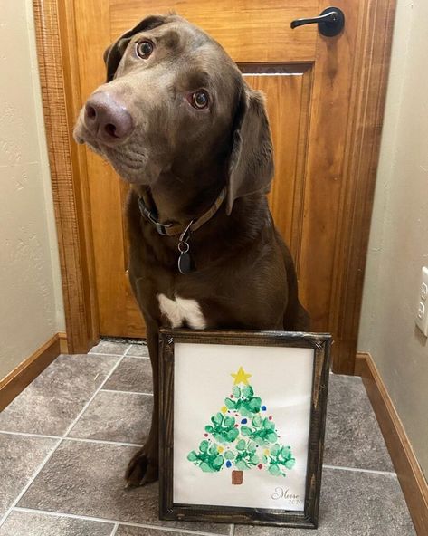 Dog Paw Print Craft, Crismas Tree, Paw Print Crafts, Dog Paw Print Art, Paw Crafts, Paw Print Christmas, Paw Print Art, Paw Painting, Paw Art