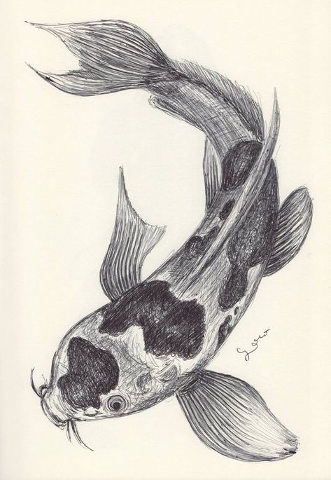 SAATCHI BALLPEN KOI FISH Koi Fish Realistic Drawing, Koi Fish Painting Black And White, Koi Fish Pen Drawing, Koi Fish Sketches, Kio Fish Drawing, Koi Carp Drawing, Fish Realistic Drawing, Black N White Drawings, Fish Pen Drawing