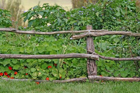 Hobbiton New Zealand, Rustic Garden Fence, Garden Gates And Fencing, Garden Venue, Garden Veggies, Veg Garden, Side Garden, Garden Show, Woodland Garden