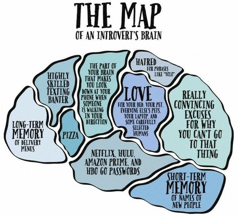 Introvert s brain World Introvert Day, Brain Map, What Is An Introvert, Introvert Personality, Brain Mapping, Kids Party Wear, Introverts Unite, Introvert Humor, Extroverted Introvert