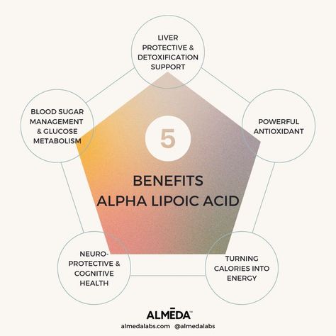 We include a therapeutic dose of Alpha-Lipoic Acid in Thrine for these amazing benefits! #liverdetoxification #liverhealth #nutrition #plantbaseddiet #antioxidant #metabolichealth Liver Failure, Liver Detoxification, Liver Support, Blood Sugar Management, Alpha Lipoic Acid, Compound Words, Body Organs, Liver Health, Reduce Inflammation